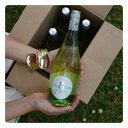 Pack 12 Botellas | Ana&Clara Spritz