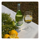 Pack 12 Botellas | Ana&Clara Spritz