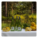 Pack 12 Botellas | Ana&Clara Spritz
