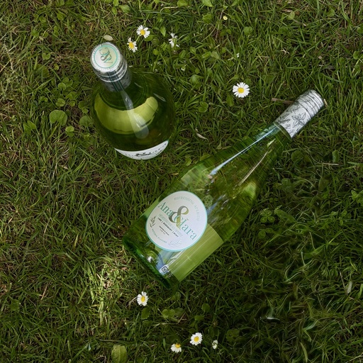 Pack 3 botellas 