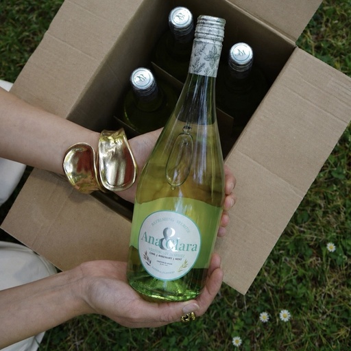 Pack 6 Botellas